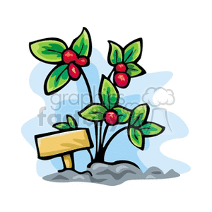 A colorful clipart image depicting a plant with green leaves and red berries, set in a garden with a soil mound and a blank wooden sign.