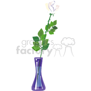 The image is a clipart illustration that features a single white flower with green leaves, standing upright in a translucent purple vase.