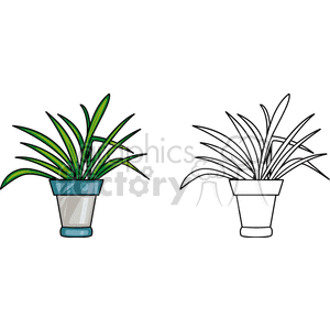 Potted Plant with Outline Version