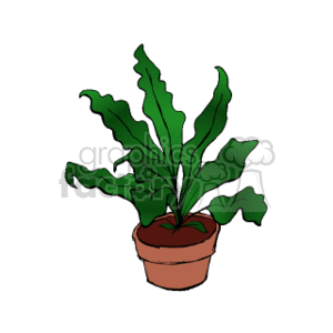   The clipart image depicts a potted plant with elongated green leaves, which have wavy edges. The plant is sitting in a typical terracotta pot. There is no other context provided in the image, so the species of the plant isn