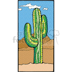 Saguaro Cactus in Desert Landscape