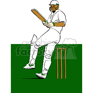 Cricket Batsman Ready to Play