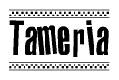 The image contains the text Tameria in a bold, stylized font, with a checkered flag pattern bordering the top and bottom of the text.