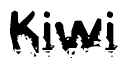 This nametag says Kiwi, and has a static looking effect at the bottom of the words. The words are in a stylized font.