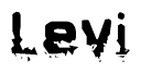 This nametag says Levi, and has a static looking effect at the bottom of the words. The words are in a stylized font.