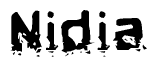 The image contains the word Nidia in a stylized font with a static looking effect at the bottom of the words