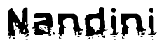 The image contains the word Nandini in a stylized font with a static looking effect at the bottom of the words