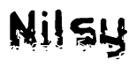 The image contains the word Nilsy in a stylized font with a static looking effect at the bottom of the words