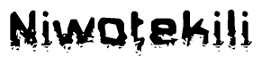 The image contains the word Niwotekili in a stylized font with a static looking effect at the bottom of the words