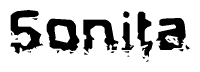 The image contains the word Sonita in a stylized font with a static looking effect at the bottom of the words