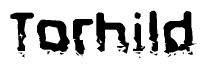 The image contains the word Torhild in a stylized font with a static looking effect at the bottom of the words