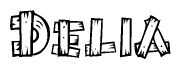 The image contains the name Delia written in a decorative, stylized font with a hand-drawn appearance. The lines are made up of what appears to be planks of wood, which are nailed together