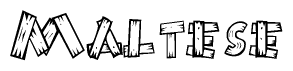 The clipart image shows the name Maltese stylized to look like it is constructed out of separate wooden planks or boards, with each letter having wood grain and plank-like details.