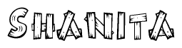 The image contains the name Shanita written in a decorative, stylized font with a hand-drawn appearance. The lines are made up of what appears to be planks of wood, which are nailed together
