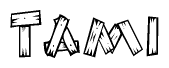 The image contains the name Tami written in a decorative, stylized font with a hand-drawn appearance. The lines are made up of what appears to be planks of wood, which are nailed together
