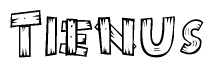 The clipart image shows the name Tienus stylized to look like it is constructed out of separate wooden planks or boards, with each letter having wood grain and plank-like details.