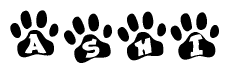 The image shows a series of animal paw prints arranged horizontally. Within each paw print, there's a letter; together they spell Ashi