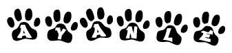 The image shows a series of animal paw prints arranged horizontally. Within each paw print, there's a letter; together they spell Ayanle