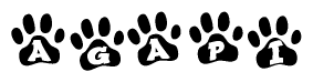 The image shows a series of animal paw prints arranged in a horizontal line. Each paw print contains a letter, and together they spell out the word Agapi.
