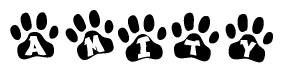 The image shows a series of animal paw prints arranged in a horizontal line. Each paw print contains a letter, and together they spell out the word Amity.