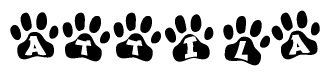 The image shows a row of animal paw prints, each containing a letter. The letters spell out the word Attila within the paw prints.
