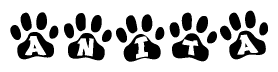 The image shows a series of animal paw prints arranged in a horizontal line. Each paw print contains a letter, and together they spell out the word Anita.