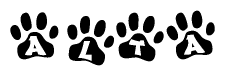 The image shows a row of animal paw prints, each containing a letter. The letters spell out the word Alta within the paw prints.