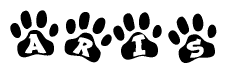 The image shows a series of animal paw prints arranged horizontally. Within each paw print, there's a letter; together they spell Aris