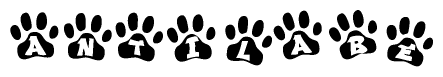Animal Paw Prints with Antilabe Lettering