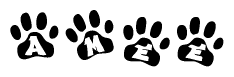 The image shows a series of animal paw prints arranged in a horizontal line. Each paw print contains a letter, and together they spell out the word Amee.