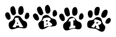 Animal Paw Prints with Abir Lettering