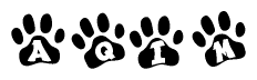 The image shows a series of animal paw prints arranged horizontally. Within each paw print, there's a letter; together they spell Aqim
