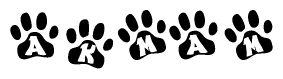 The image shows a series of animal paw prints arranged in a horizontal line. Each paw print contains a letter, and together they spell out the word Akmam.