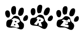 The image shows a series of animal paw prints arranged horizontally. Within each paw print, there's a letter; together they spell Bre