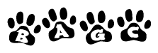 The image shows a row of animal paw prints, each containing a letter. The letters spell out the word Bagc within the paw prints.