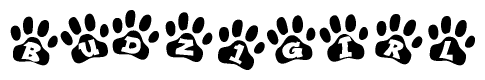 The image shows a series of animal paw prints arranged in a horizontal line. Each paw print contains a letter, and together they spell out the word Budz1girl.