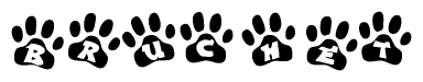 The image shows a row of animal paw prints, each containing a letter. The letters spell out the word Bruchet within the paw prints.
