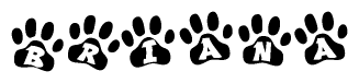 The image shows a series of animal paw prints arranged in a horizontal line. Each paw print contains a letter, and together they spell out the word Briana.