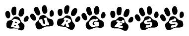 The image shows a series of animal paw prints arranged in a horizontal line. Each paw print contains a letter, and together they spell out the word Burgess.
