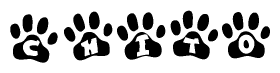 The image shows a series of animal paw prints arranged in a horizontal line. Each paw print contains a letter, and together they spell out the word Chito.