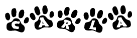 The image shows a row of animal paw prints, each containing a letter. The letters spell out the word Carla within the paw prints.