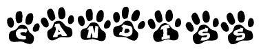 The image shows a row of animal paw prints, each containing a letter. The letters spell out the word Candiss within the paw prints.