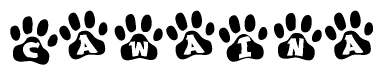The image shows a row of animal paw prints, each containing a letter. The letters spell out the word Cawaina within the paw prints.