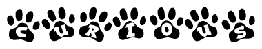 The image shows a series of animal paw prints arranged in a horizontal line. Each paw print contains a letter, and together they spell out the word Curious.