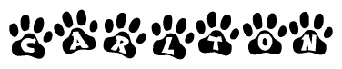 The image shows a series of animal paw prints arranged in a horizontal line. Each paw print contains a letter, and together they spell out the word Carlton.