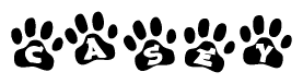 The image shows a series of animal paw prints arranged horizontally. Within each paw print, there's a letter; together they spell Casey