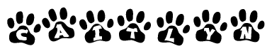 The image shows a series of animal paw prints arranged horizontally. Within each paw print, there's a letter; together they spell Caitlyn