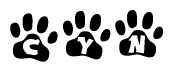 The image shows a series of animal paw prints arranged in a horizontal line. Each paw print contains a letter, and together they spell out the word Cyn.