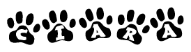 The image shows a row of animal paw prints, each containing a letter. The letters spell out the word Ciara within the paw prints.