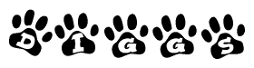 The image shows a row of animal paw prints, each containing a letter. The letters spell out the word Diggs within the paw prints.